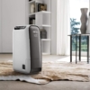 De'Longhi Tasciugo AriaDry Light DNS65 product photograph