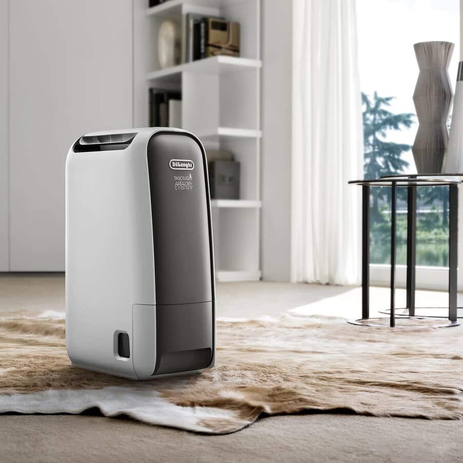 DNS65-2 De'Longhi Tasciugo AriaDry Light DNS65 product photograph