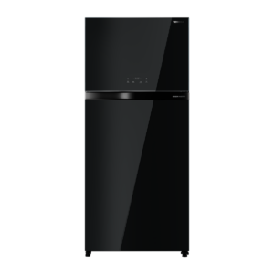 Toshiba 661L PureBIO Origin Inverter Two Door Refrigerator GR-RT835WE-PGY(XK)
