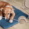 Philips AC3360/11 official product photograph